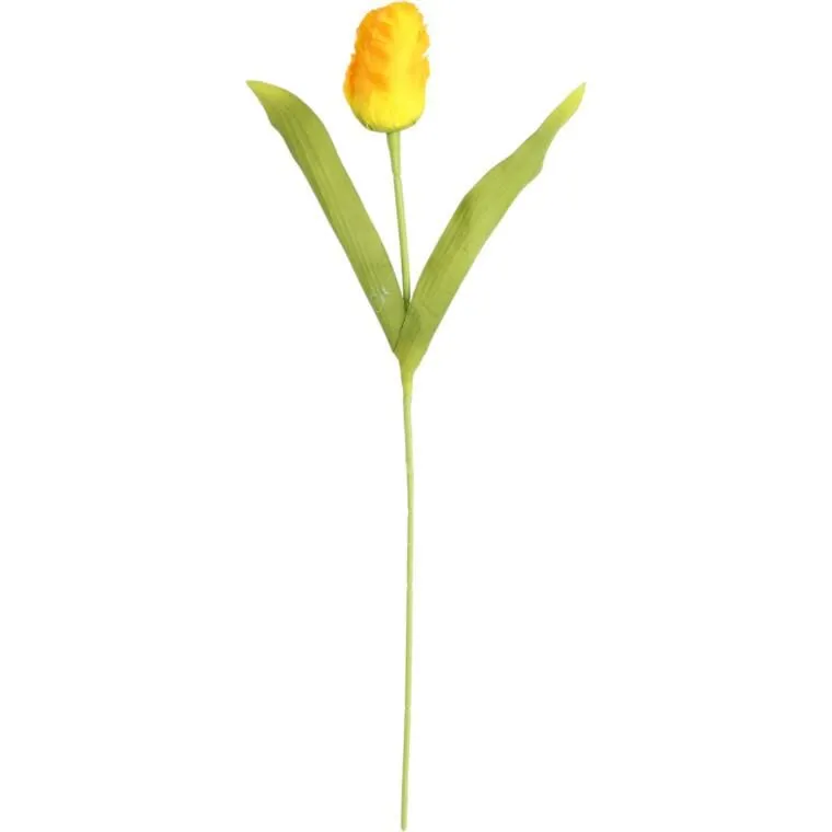 Tulipan Strzępiasty 54 cm - Żółty