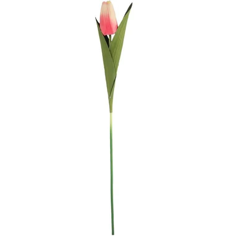 TULIPAN 45 cm Kremowo Różowy