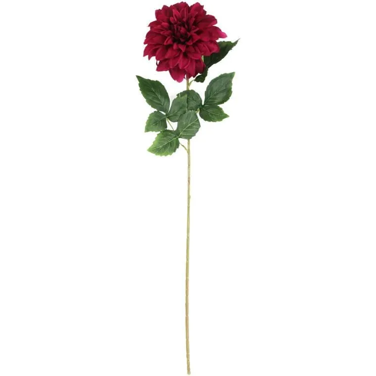 Daliia DUŻY Kwiat Pojedynczy 74 cm - BORDOWA