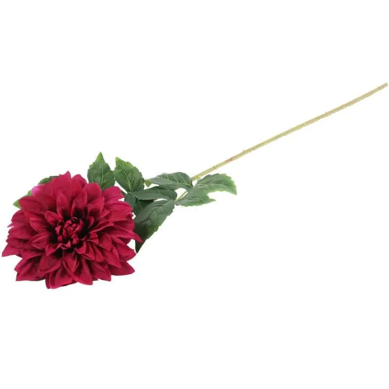 Daliia DUŻY Kwiat Pojedynczy 74 cm - BORDOWA
