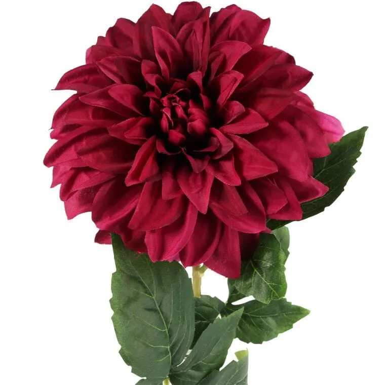 Daliia DUŻY Kwiat Pojedynczy 74 cm - BORDOWA