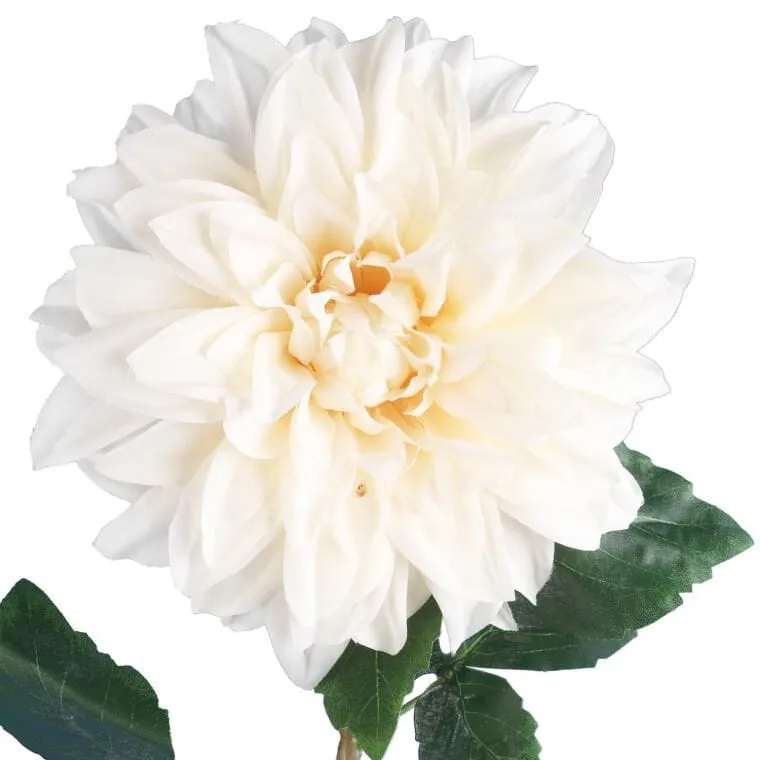 Daliia DUŻY Kwiat Pojedynczy 74 cm - KREMOWA