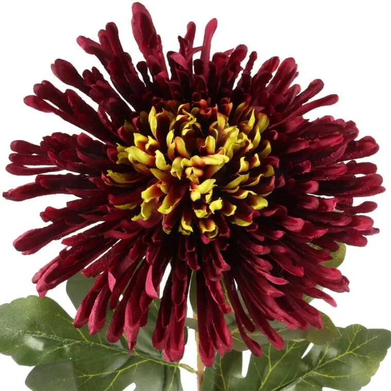 Chryzantema 76 cm - Bordowa