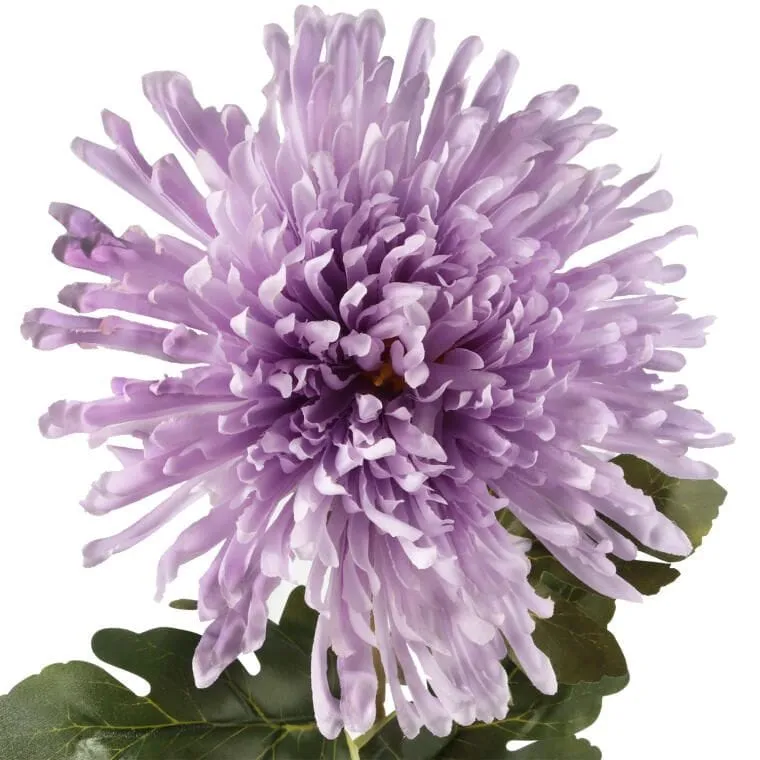 Chryzantema 76 cm Jasno - Fioletowa
