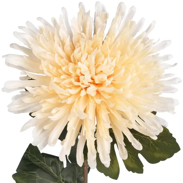 Chryzantema 76 cm - Kremowa