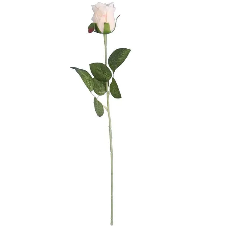 Róża Pojedyncza 46 cm - Kremowa
