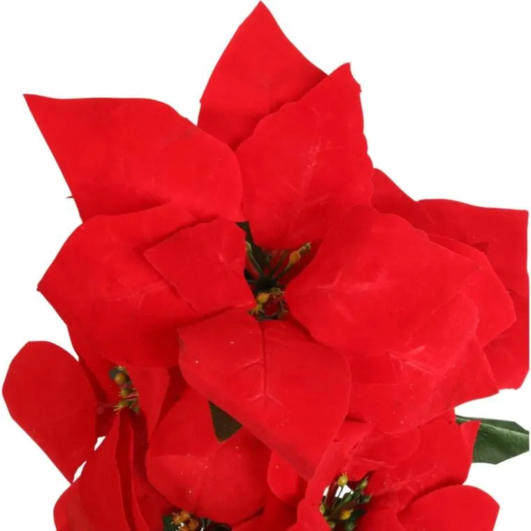 Bukiet 5 Dużych POINSECJI WELUROWYCH 55 cm KOLOR - CZERWONY