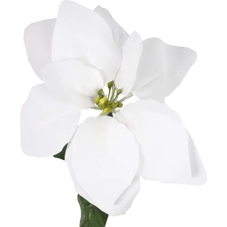 Kwiat Pojedynczy Gwiazda Betlejemska Poinsecja 64 cm - BIAŁA