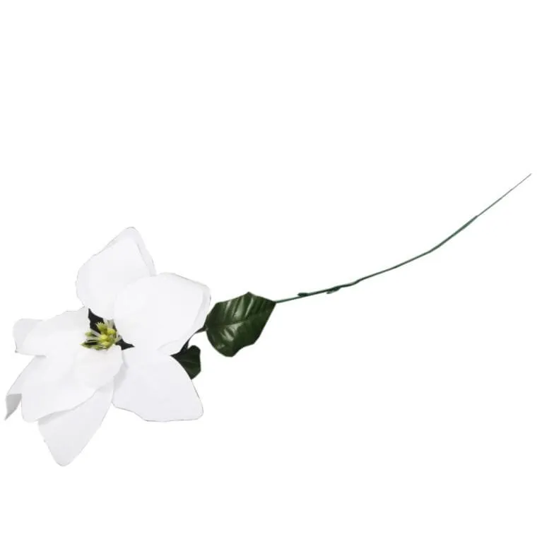 Kwiat Pojedynczy Gwiazda Betlejemska Poinsecja 64 cm - BIAŁA