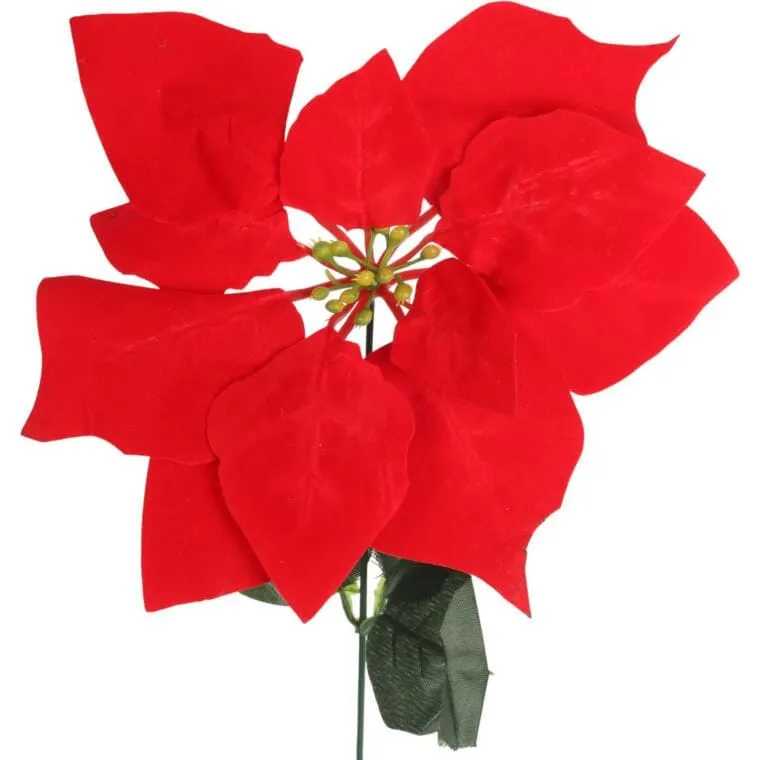 Kwiat Pojedynczy Gwiazda Betlejemska Poinsecja 64 cm - CZERWONA