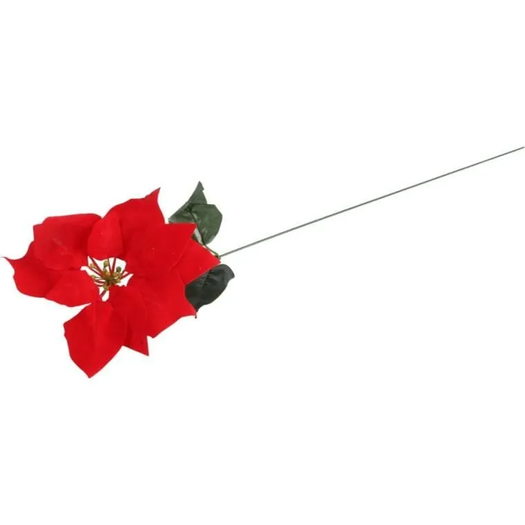 Kwiat Pojedynczy Gwiazda Betlejemska Poinsecja 64 cm - CZERWONA