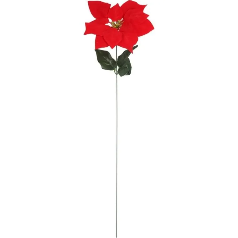 Kwiat Pojedynczy Gwiazda Betlejemska Poinsecja 64 cm - CZERWONA