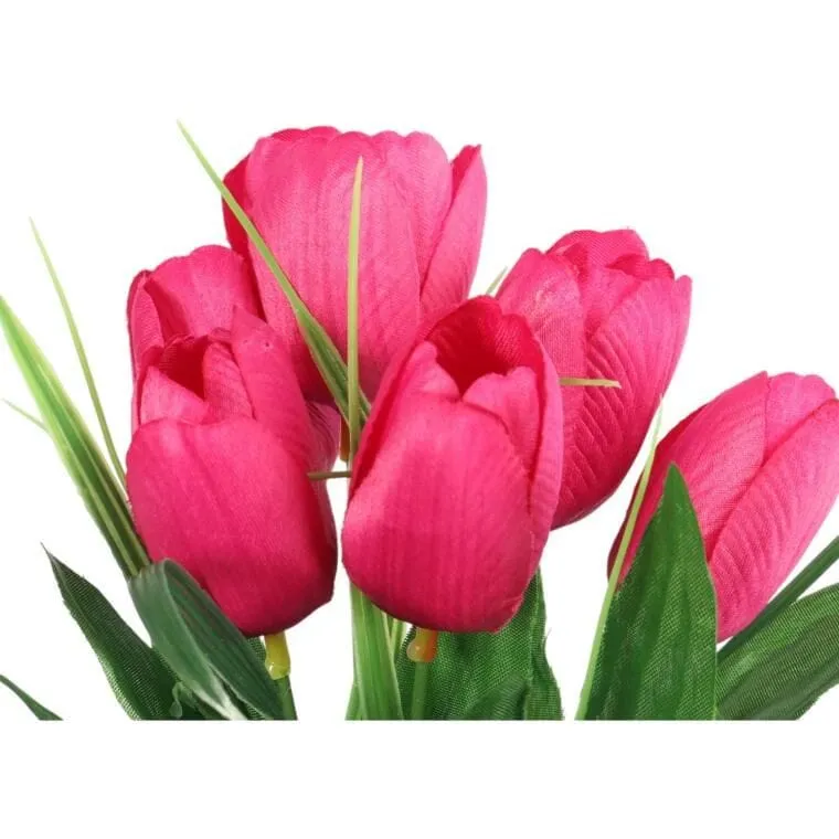 Bukiet 6 TULIPANÓW Z Trawką 34 cm - Różowy