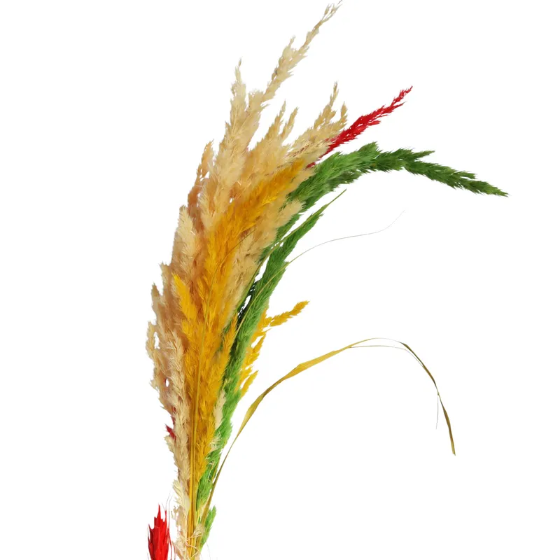 Palma Wielkanocna – Rękodzieło Z Suszu Niedziela Palmowa 80-86 cm