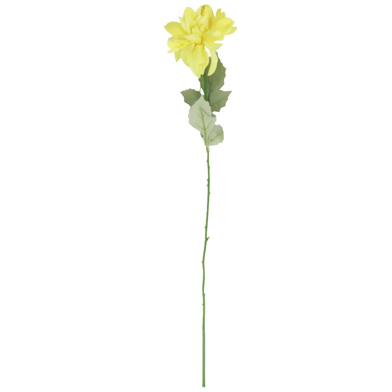 Dalia Kwiat Pojedynczy 70 cm - Czerwony
