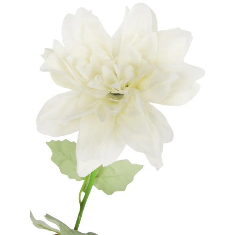 Dalia Kwiat Pojedynczy 70 cm - Biały