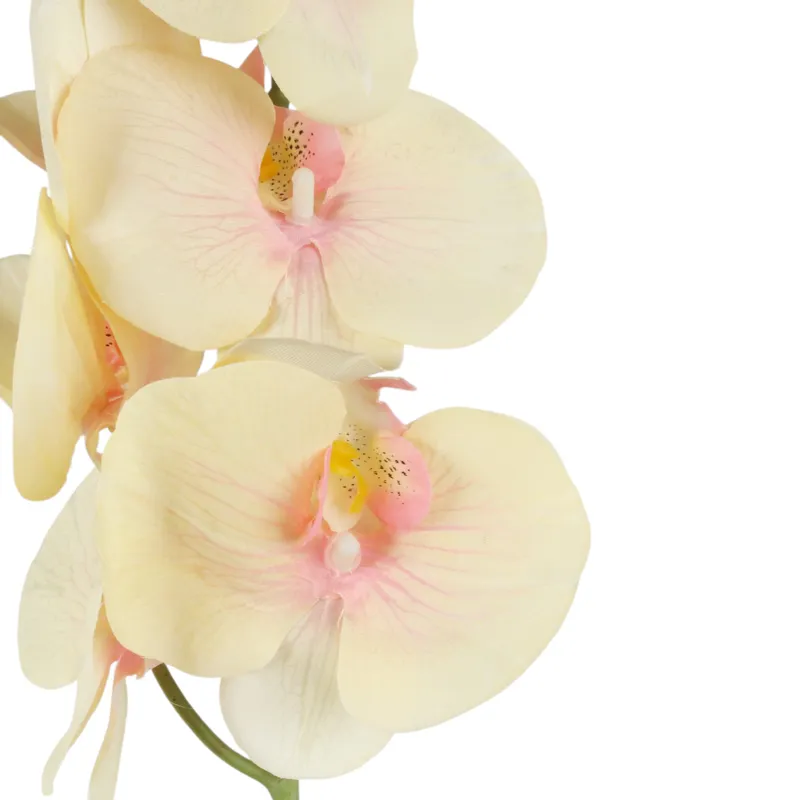 STORCZYK Sztuczne Kwiaty Do Wazonu GAŁĄZKA ORCHIDEA 100 cm - Żółto-Różowa