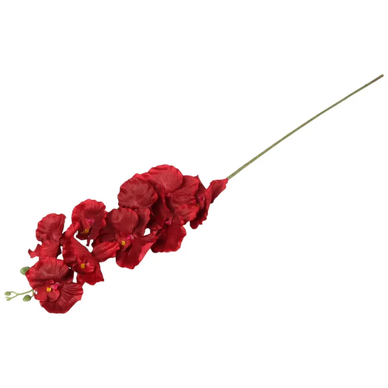 Storczyk Orchidea Gałązka 9 Kwiatów 105 cm Głęboka Czerwień