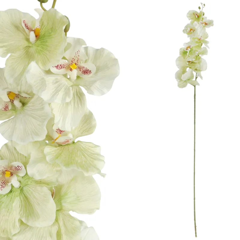 Storczyk Orchidea Gałązka 9 Kwiatów 105 cm Pastelowa Limonka