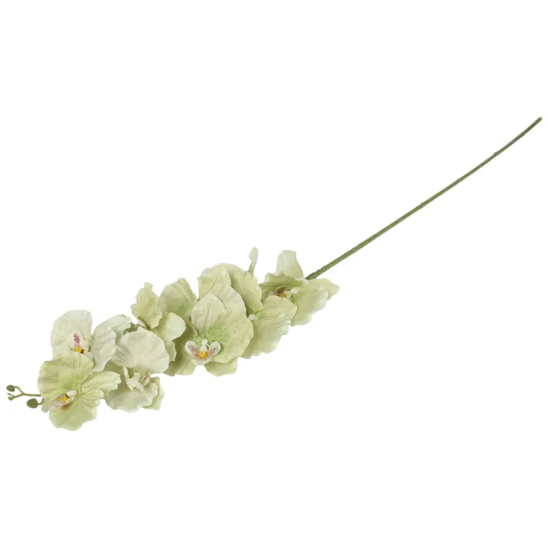 Storczyk Orchidea Gałązka 9 Kwiatów 105 cm Pastelowa Limonka