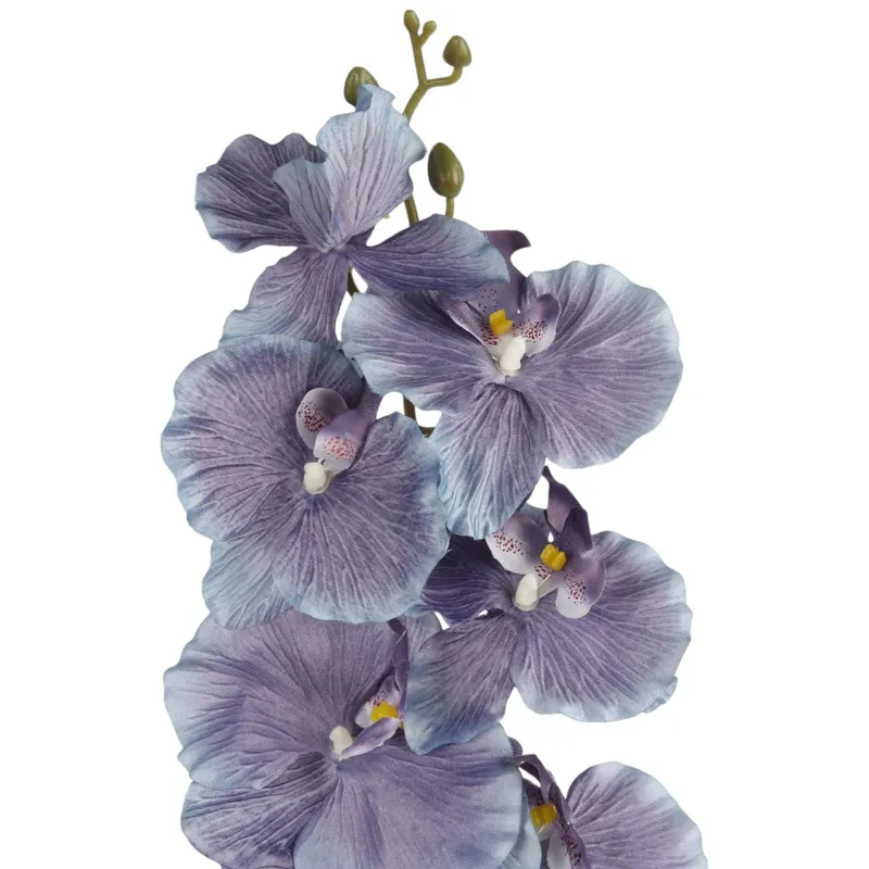 Storczyk Orchidea Gałązka 9 Kwiatów 105 cm - Fioletowa