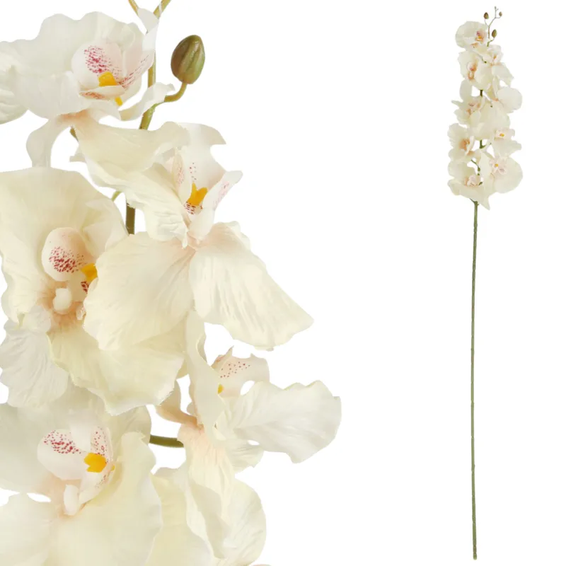 Storczyk Orchidea Gałązka 9 Kwiatów 105 cm - Kremowa