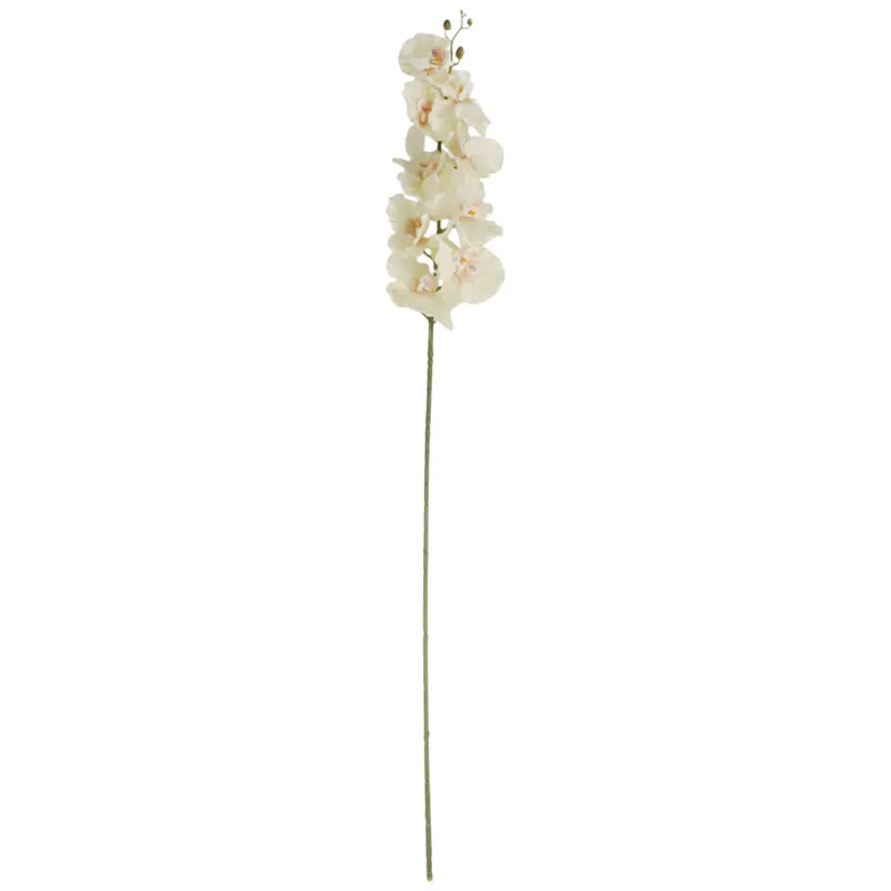Storczyk Orchidea Gałązka 9 Kwiatów 105 cm - Kremowa
