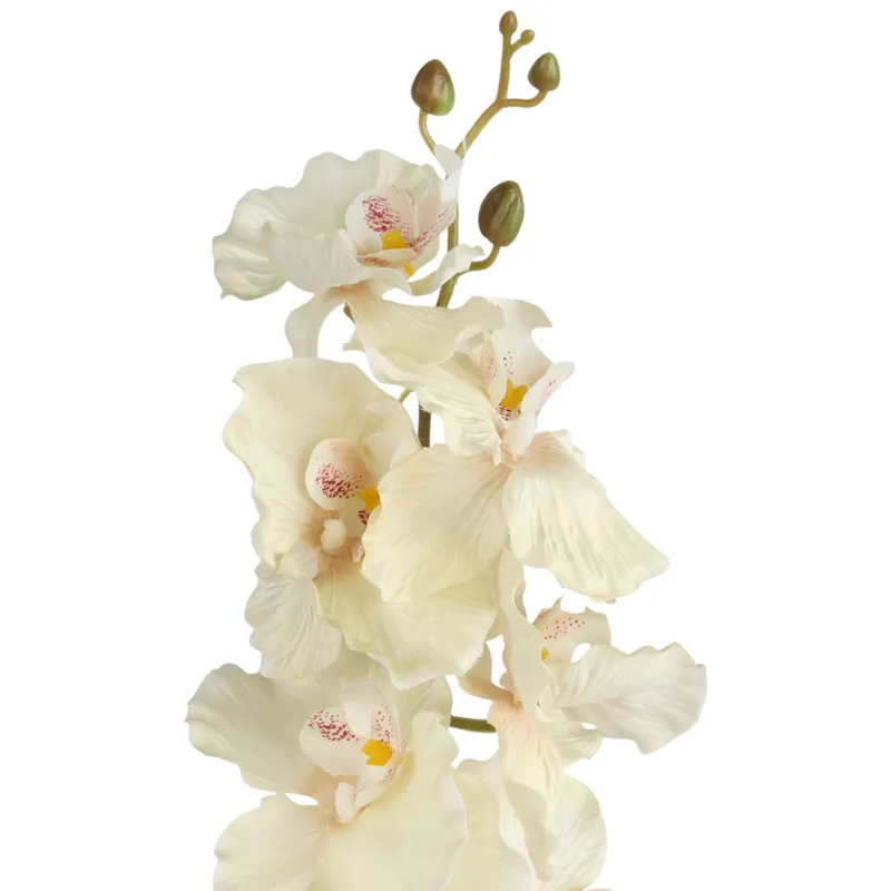 Storczyk Orchidea Gałązka 9 Kwiatów 105 cm - Kremowa