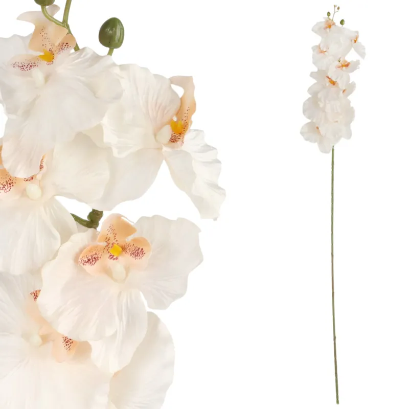 Storczyk Orchidea Gałązka 9 Kwiatów 105 cm - Kremowo-Różowa