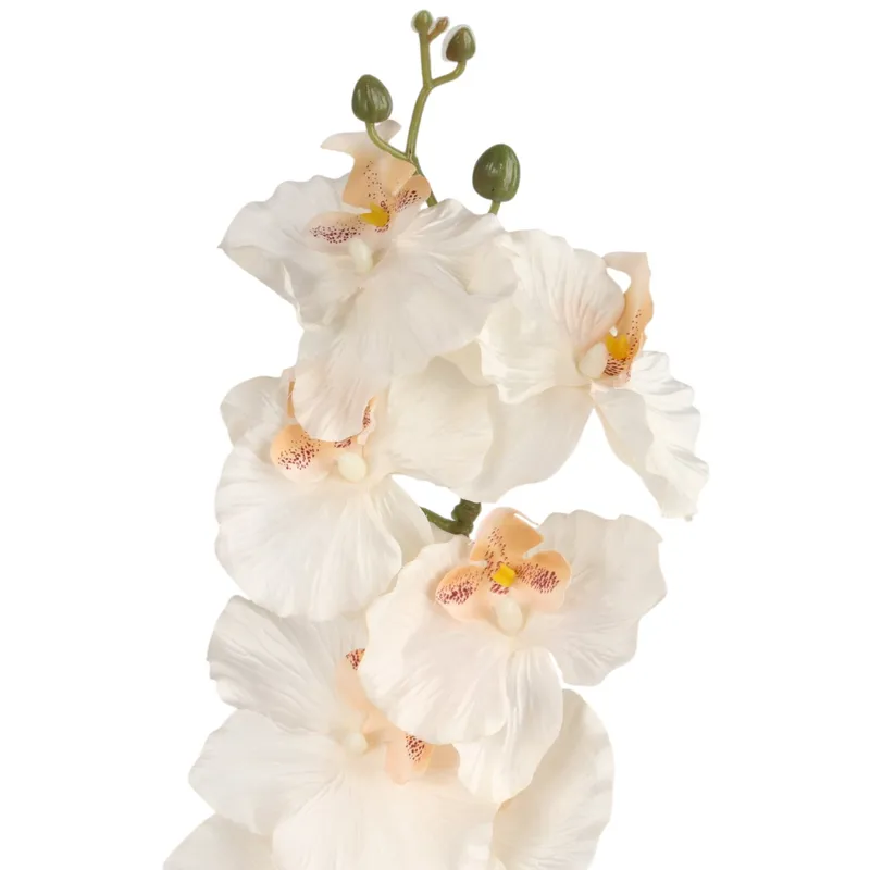 Storczyk Orchidea Gałązka 9 Kwiatów 105 cm - Kremowo-Różowa