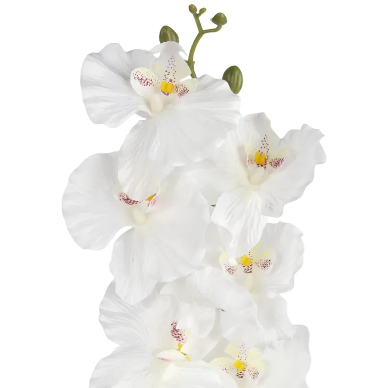 Storczyk Orchidea Gałązka 9 Kwiatów 105 cm - Biała
