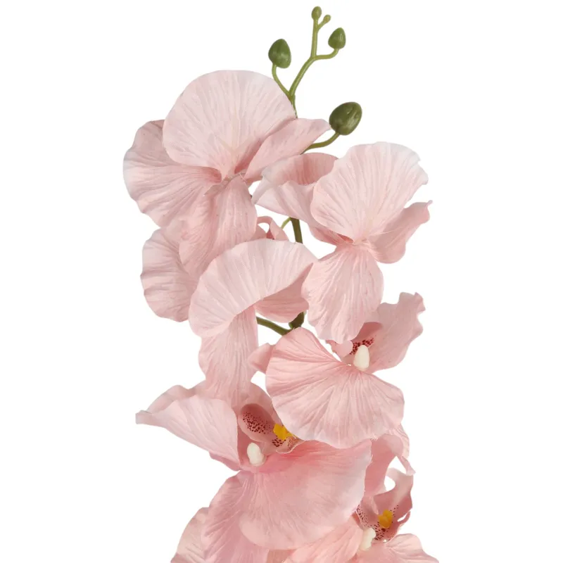 Storczyk Orchidea Gałązka 9 Kwiatów 105 cm Łosoś