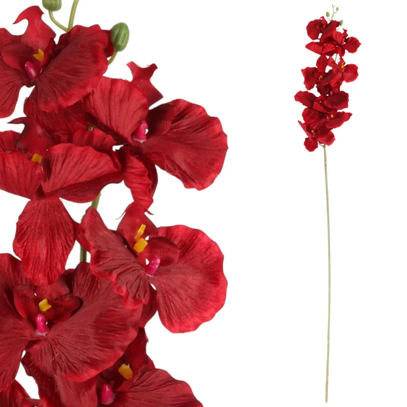 Storczyk Orchidea Gałązka 9 Kwiatów 105 cm Głęboka Czerwień