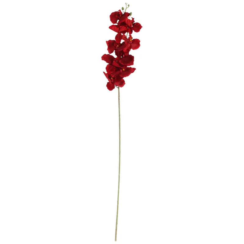Storczyk Orchidea Gałązka 9 Kwiatów 105 cm Głęboka Czerwień