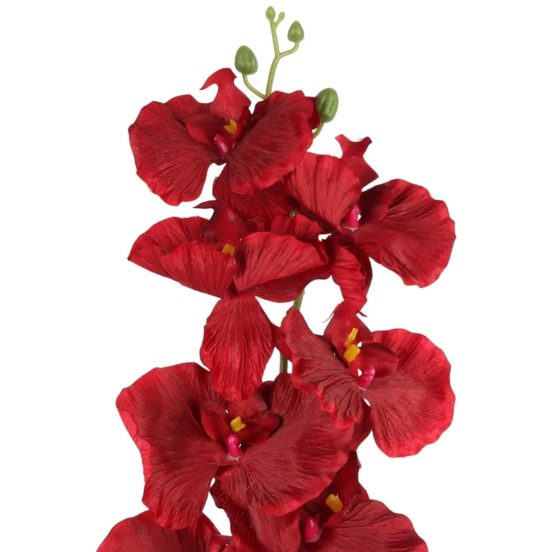 Storczyk Orchidea Gałązka 9 Kwiatów 105 cm Głęboka Czerwień