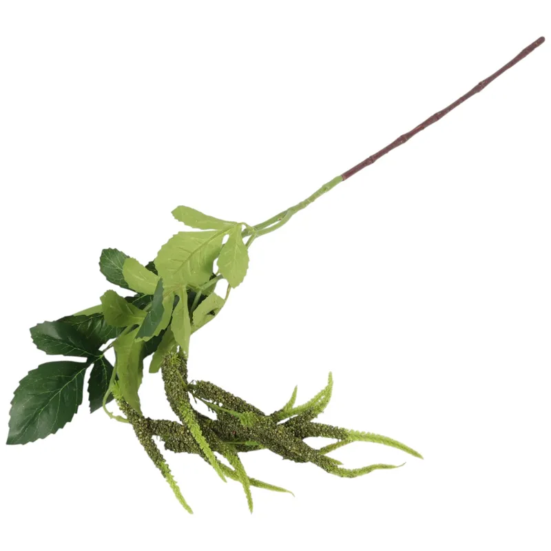 Szarłat Zwisły Ogrodowy 94 cm Kolor - Zielony