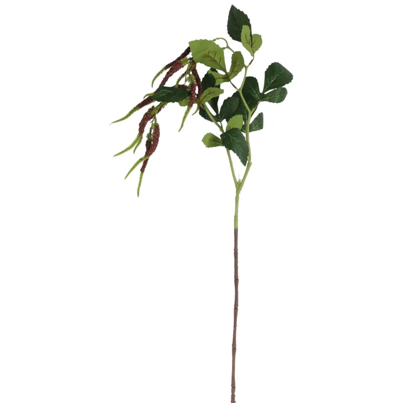 Szarłat Zwisły Ogrodowy 94 cm Kolor - Brązowy