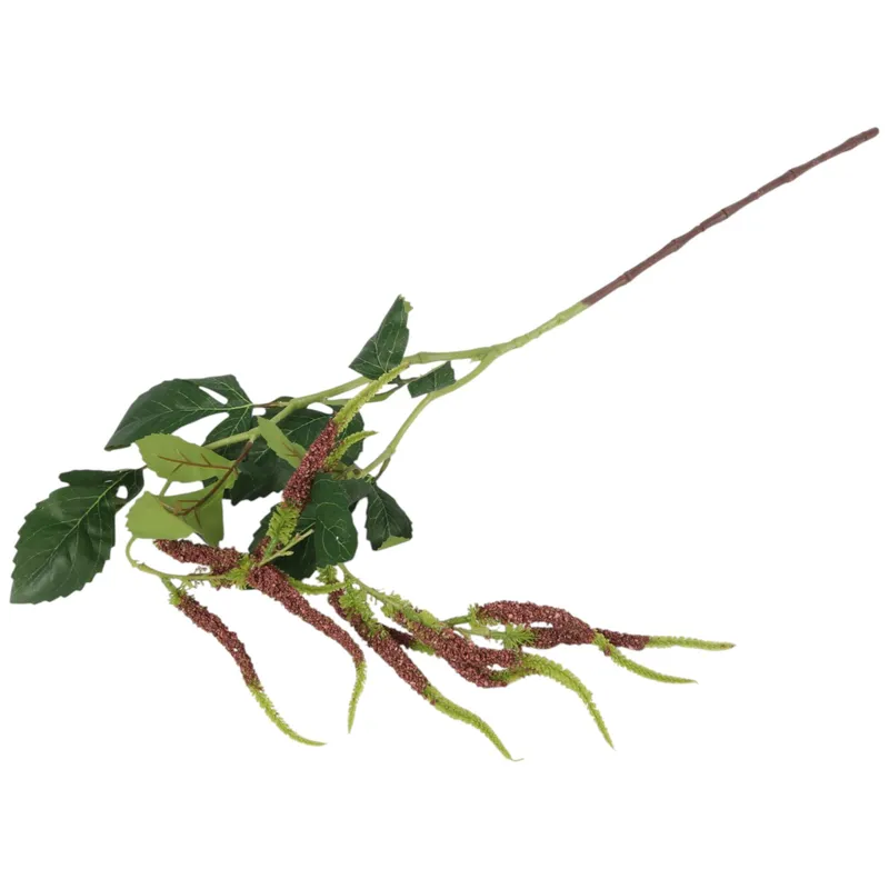 Szarłat Zwisły Ogrodowy 94 cm Kolor - Brązowy