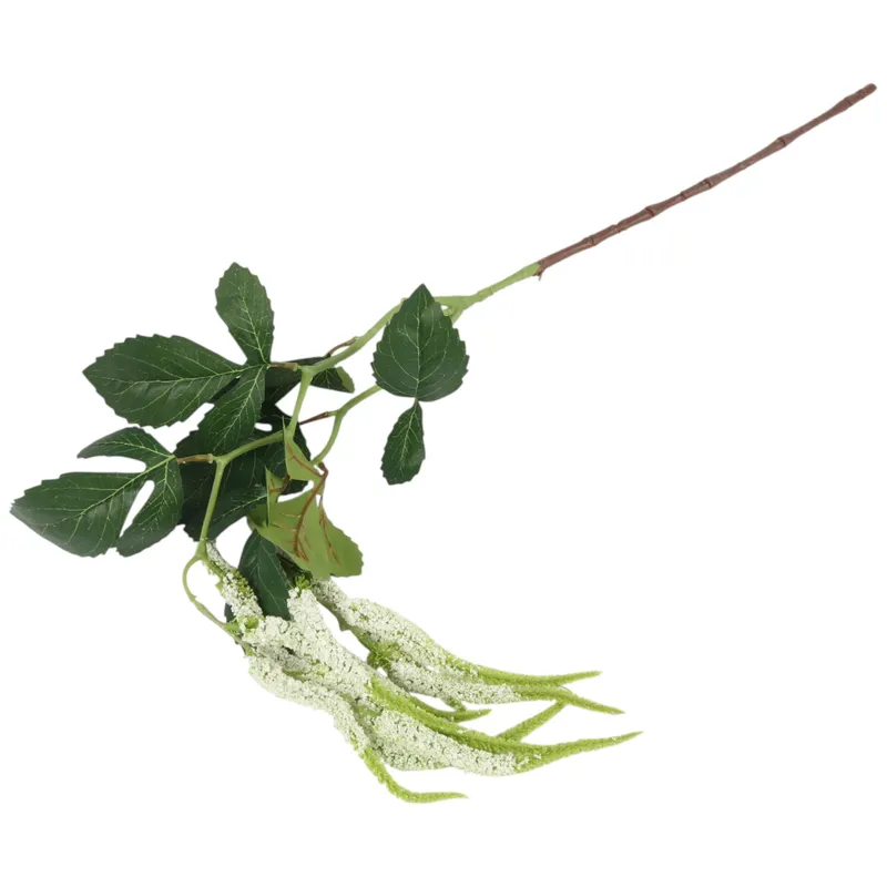 Szarłat Zwisły Ogrodowy 94 cm Kolor - Biały