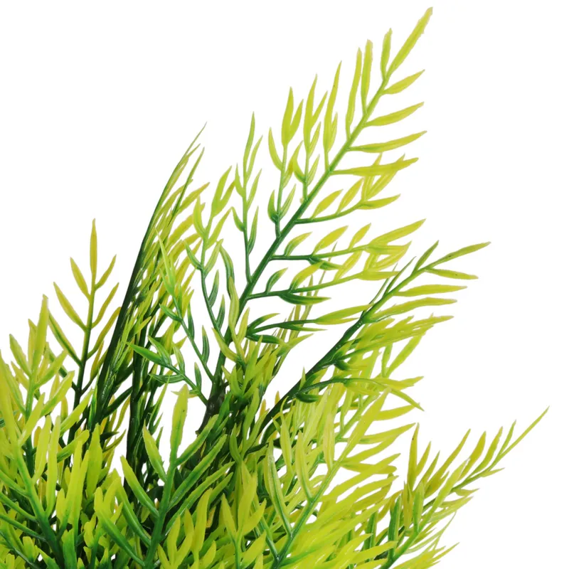 Bukiet 7 Gałązek Asparagusa 45 cm - Zielony