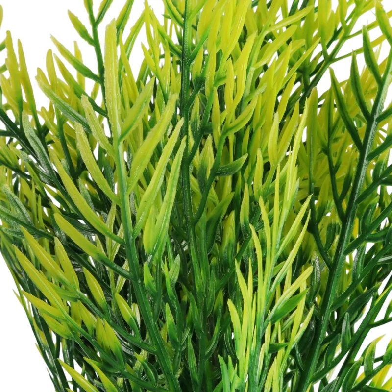 Bukiet 7 Gałązek Asparagusa 45 cm - Zielony