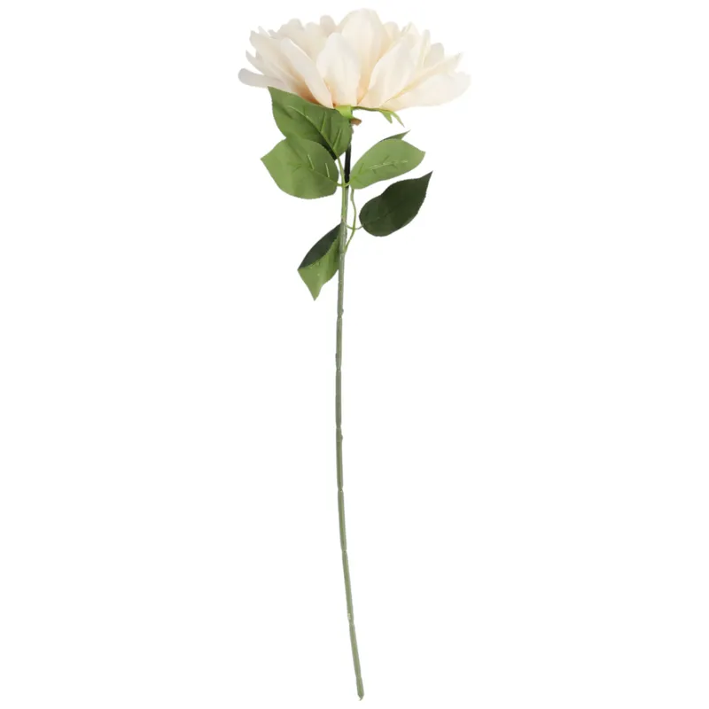 DALIA 60 cm Fi 17 - Kremowa