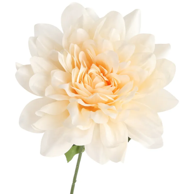 DALIA 60 cm Fi 17 - Kremowa