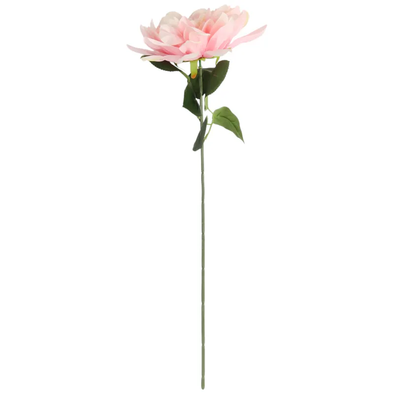 DALIA 60 cm Fi 17 - Kremowa