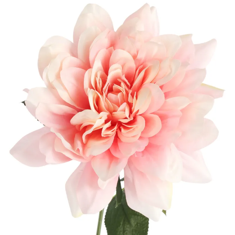 DALIA Jasno-Różowa 60 cm Fi 17