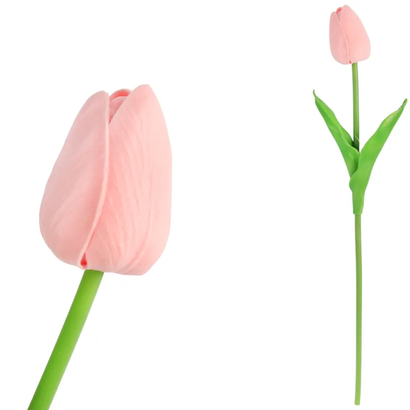 Tulipan Pojedynka Kolor - Czerwono-Biały