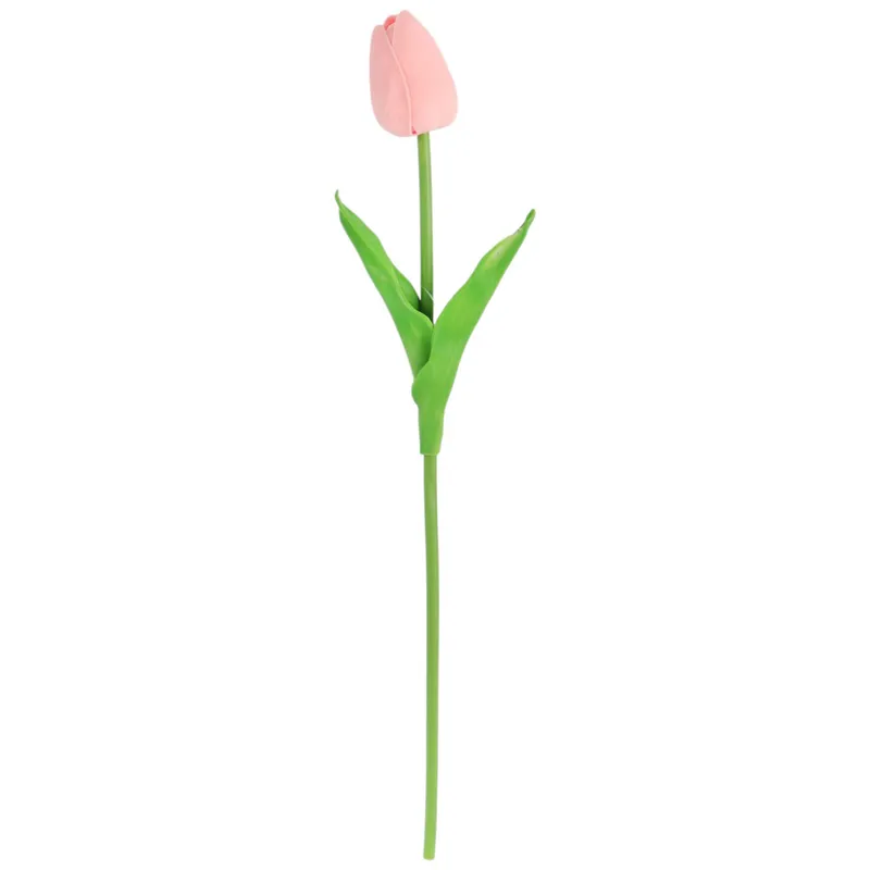 Tulipan Pojedynka Kolor - Czerwono-Biały