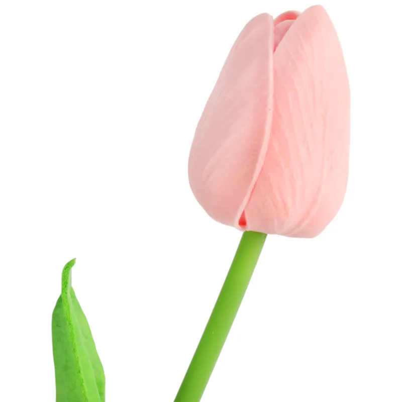 Tulipan Pojedynka Kolor - Czerwono-Biały