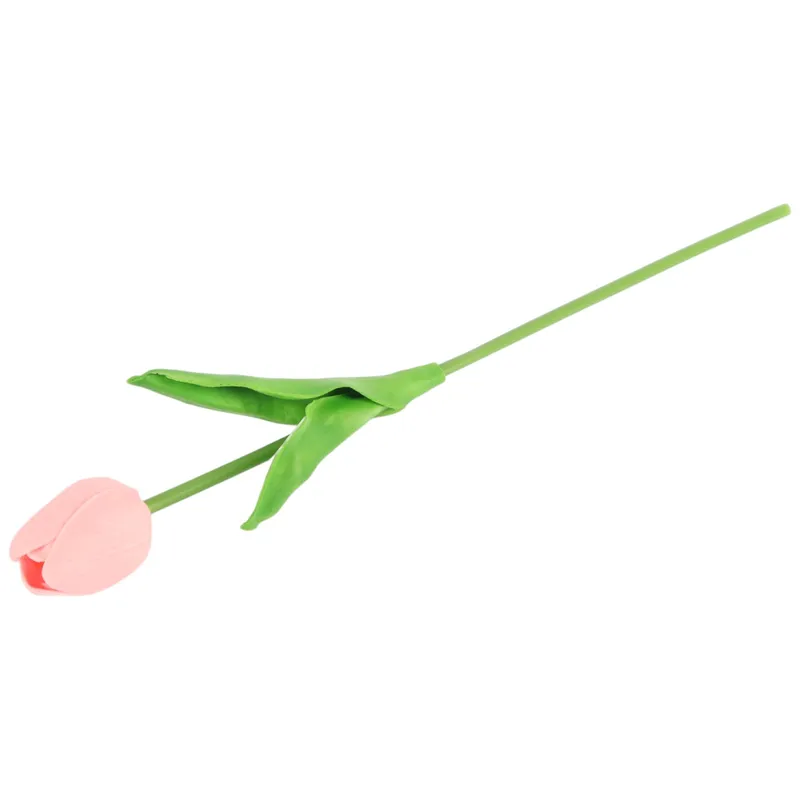 Tulipan Pojedynka Kolor - Czerwono-Biały