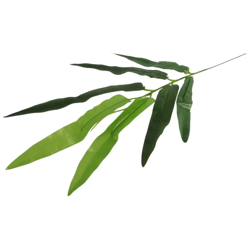 Papirus Gałązka 50 cm - Zielona